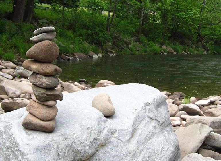 Fishing in New York Gallery Fishing in New York Gallery