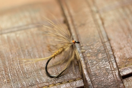 Deul Cruik with wren Deul Cruik with wren