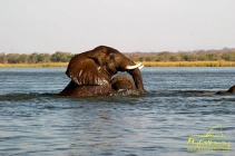 All the way up All the way up