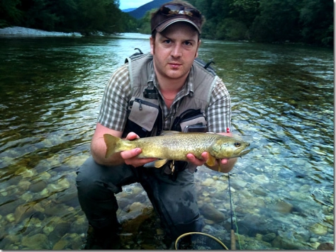 Olive and gold Olive and gold