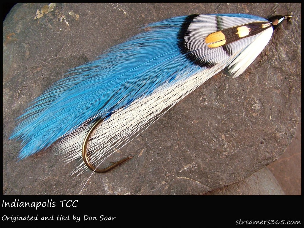 #234 Indianapolis - Team Colors Collection - Don Soar #234 Indianapolis - Team Colors Collection - Don Soar