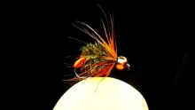 Video thumb for Grayling Nymph