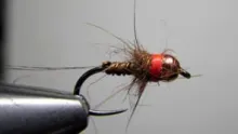 Video thumb for Rich's Simple Sulfur Nymph #2