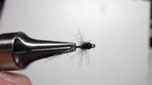 Video thumb for Tungsten Trico Trio