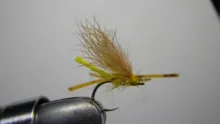 Video thumb for Spun Sally