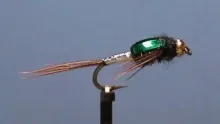 Video thumb for Lightning Bug Nymph