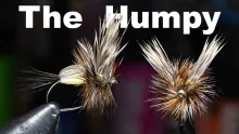 Video thumb for Humpy