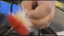 Video thumb for Pike fly