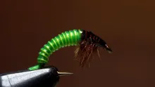 Video thumb for JC's Electric Caddis Larva