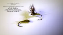 Video thumb for A Nymph and a Dry Fly