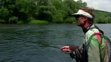Video thumb for Polish grayling