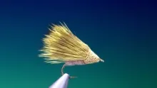 Video thumb for Golden Olive Streaking caddis