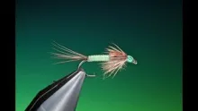 Video thumb for Ultra Quick Mayfly Nymph