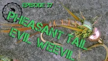 Video thumb for Pheasant Tail Evil Weevil Nymph