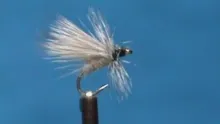 Video thumb for Fluttering Caddis