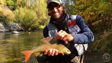 Video thumb for Slovenia Fly Fishing Spirit