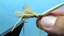 Video thumb for Hans' Hopper