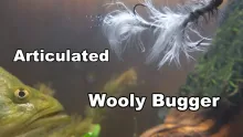 Video thumb for Articulated Wooly Bugger