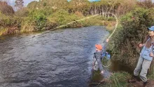 Video thumb for Fishing a flooded river during migration