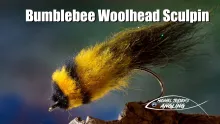 Video thumb for Bumblebee Woolhead Sculpin