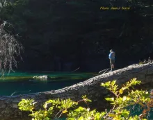 User submitted picture: Lights and shadows in a h...