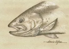 User submitted picture: "Winter Chrome" is a gr...