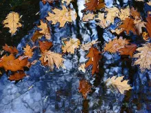 User submitted picture: A new camera's first ima...