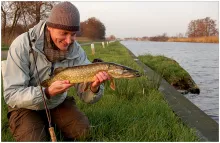 User submitted picture: Just a small pike, but I ...