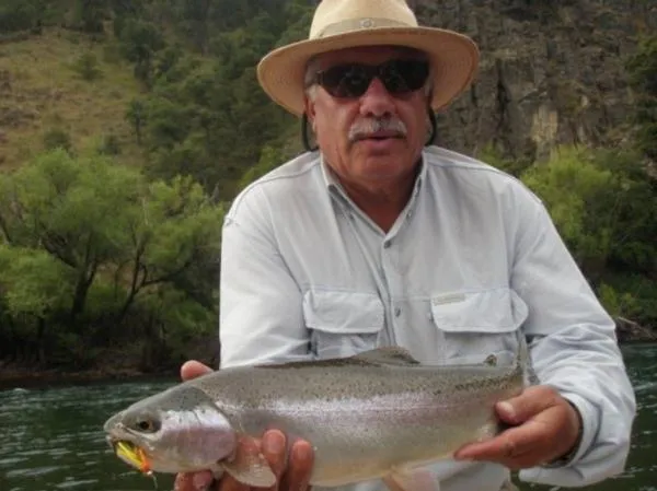 User submitted picture: Big rainbow caugth on str...