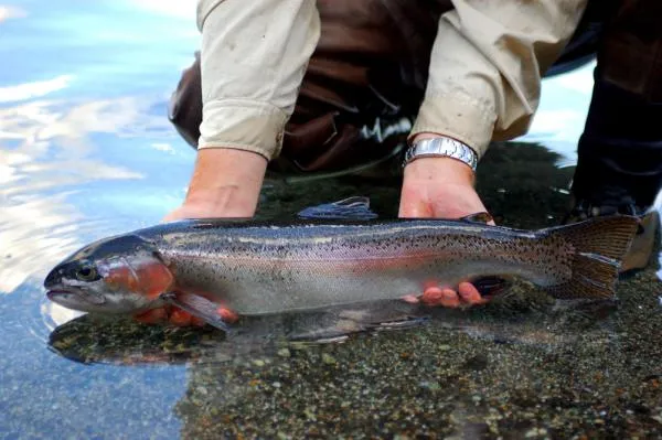 User submitted picture: ashamed